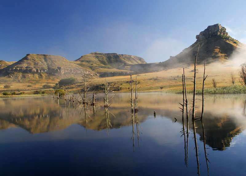https://placehold.co/400x300/F472B6/FFFFFF?text=Free State